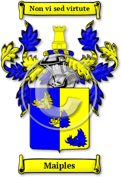 Maiples Family Crest Download (jpg) Legacy Series - 150 DPI