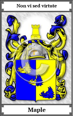 Maple Family Crest Download (JPG)  Book Plated - 150 DPI