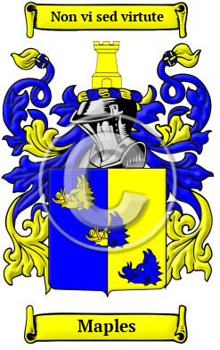 Maples Family Crest Download (jpg) Heritage Series - 150 DPI