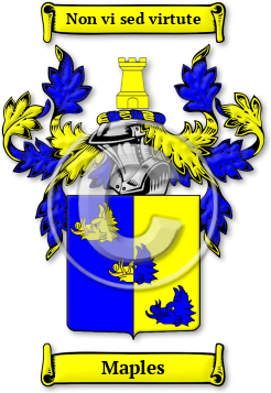 Maples Family Crest Download (jpg) Legacy Series - 150 DPI