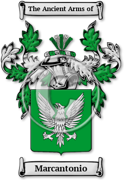 Marcantonio Family Crest Download (JPG) Legacy Series - 600 DPI