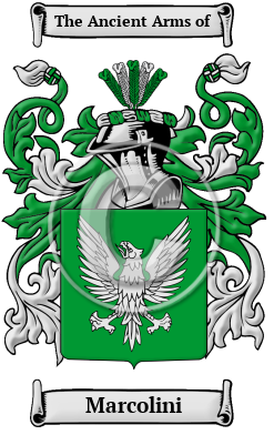 Marcolini Family Crest/Coat of Arms