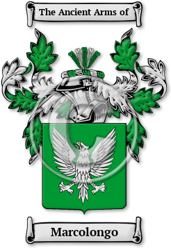 Marcolongo Family Crest Download (jpg) Legacy Series - 150 DPI