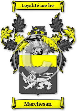 Marchesan Family Crest Download (JPG) Legacy Series - 600 DPI