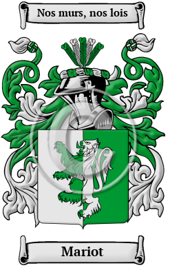Mariot Family Crest Download (JPG) Heritage Series - 600 DPI