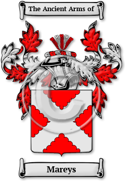 Mareys Family Crest Download (jpg) Legacy Series - 150 DPI