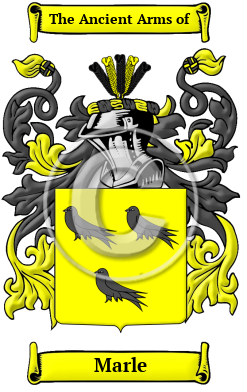 Marle Family Crest Download (JPG) Heritage Series - 600 DPI