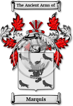 Marquis Family Crest Download (jpg) Legacy Series - 150 DPI