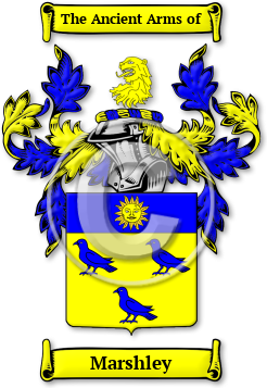 Marshley Family Crest Download (jpg) Legacy Series - 150 DPI