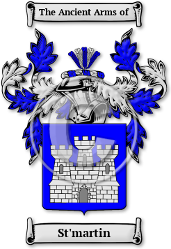 St'martin Family Crest Download (jpg) Legacy Series - 150 DPI