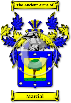 Marcial Family Crest Download (jpg) Legacy Series - 150 DPI