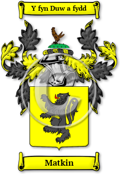 Matkin Family Crest Download (JPG) Legacy Series - 600 DPI