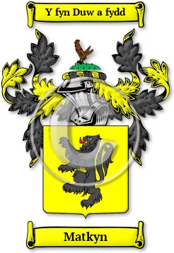 Matkyn Family Crest Download (jpg) Legacy Series - 150 DPI