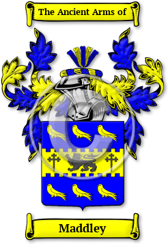 Maddley Family Crest Download (jpg) Legacy Series - 150 DPI