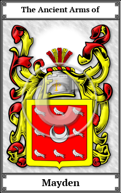 Mayden Family Crest Download (JPG)  Book Plated - 150 DPI