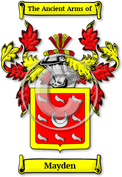 Mayden Family Crest Download (jpg) Legacy Series - 150 DPI