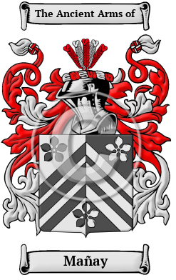 Mañay Family Crest Download (JPG) Heritage Series - 300 DPI