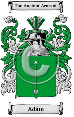 Adám Family Crest Download (JPG) Heritage Series - 300 DPI