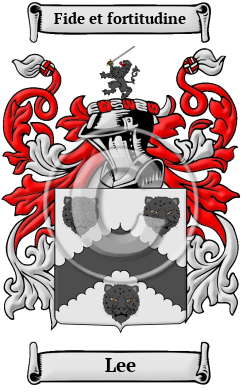 Lee Name Meaning, Family History, Family Crest & Coats of Arms, Irish