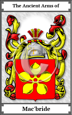 Mac'bride Family Crest Download (JPG)  Book Plated - 150 DPI