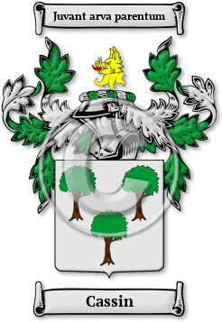 Cassin Family Crest Download (jpg) Legacy Series - 150 DPI