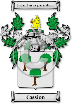 Cassion Family Crest Download (jpg) Legacy Series - 150 DPI