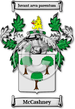 McCashney Family Crest Download (jpg) Legacy Series - 150 DPI
