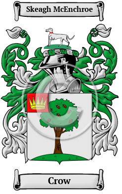 Crow Family Crest Download (JPG) Heritage Series - 600 DPI