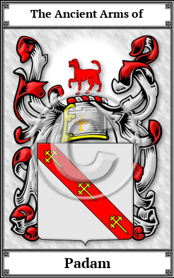 Padam Family Crest Download (JPG) Book Plated - 600 DPI