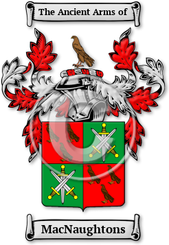 MacNaughtons Family Crest Download (JPG) Legacy Series - 600 DPI