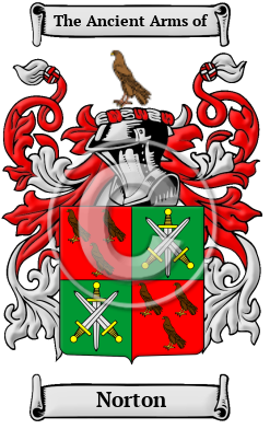 Norton Family Crest Download (JPG) Heritage Series - 600 DPI