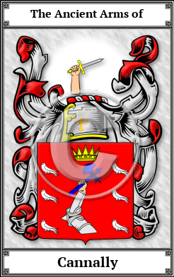 Cannally Family Crest Download (JPG)  Book Plated - 150 DPI