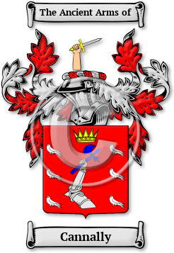 Cannally Family Crest Download (jpg) Legacy Series - 150 DPI