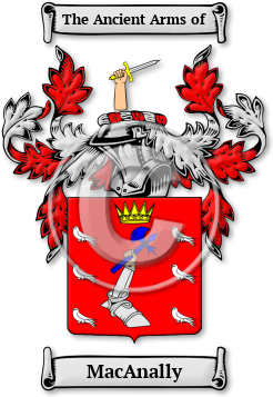 MacAnally Family Crest Download (jpg) Legacy Series - 150 DPI