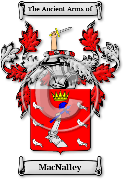 MacNalley Family Crest Download (JPG) Legacy Series - 600 DPI