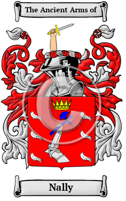 Nally Family Crest Download (JPG) Heritage Series - 600 DPI