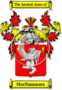 MacNammara Family Crest Download (jpg) Legacy Series - 150 DPI