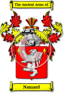 Namard Family Crest Download (jpg) Legacy Series - 150 DPI