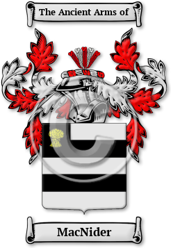 MacNider Family Crest Download (jpg) Legacy Series - 150 DPI