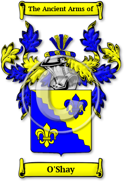 O'Shay Family Crest Download (jpg) Legacy Series - 150 DPI