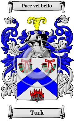 Turk Family Crest Download (JPG) Heritage Series - 600 DPI