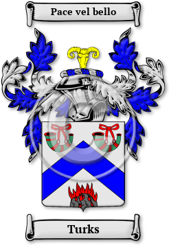 Turks Family Crest Download (jpg) Legacy Series - 150 DPI