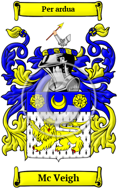 Mc Veigh Family Crest/Coat of Arms