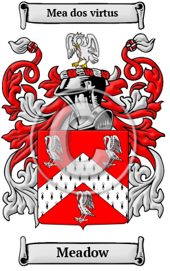 Meadow Family Crest Download (JPG) Heritage Series - 600 DPI