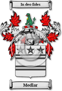 Medlar Family Crest Download (jpg) Legacy Series - 150 DPI