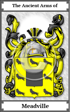 Meadville Family Crest Download (JPG)  Book Plated - 150 DPI