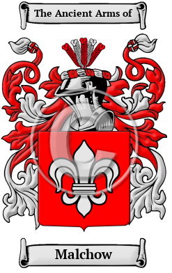 Malchow Family Crest Download (JPG) Heritage Series - 600 DPI