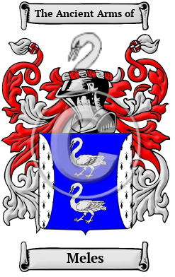 Meles Family Crest Download (JPG) Heritage Series - 600 DPI