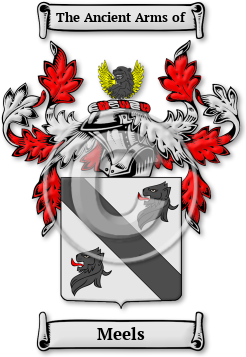 Meels Family Crest Download (jpg) Legacy Series - 150 DPI