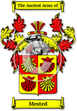 Mested Family Crest Download (JPG) Legacy Series - 600 DPI